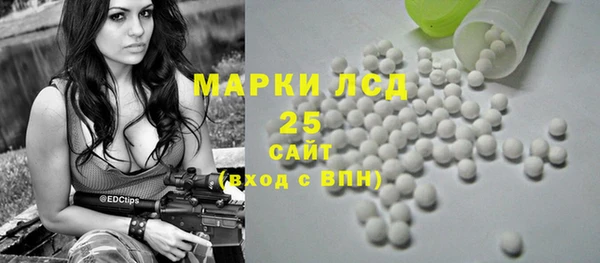 дживик Абинск